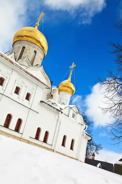 Catedral de Rozhdestvensky — Stockfoto