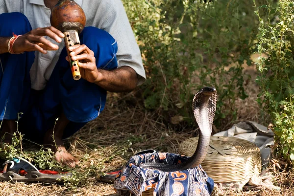 Hintli yılan oynatan kimse — Stok fotoğraf