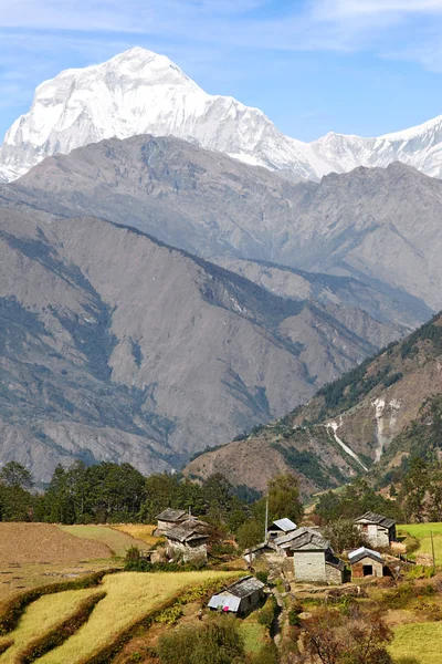 Schönheit des Nepals — Stockfoto