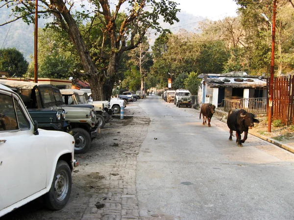 Calles de Rishikesh — Foto de Stock
