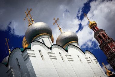Novodevichy Convent in Moscow, Russia clipart