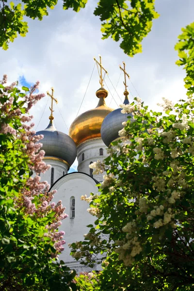 Novodevichy kloster i Moskva, Rusland - Stock-foto