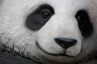 Close up of panda clipart