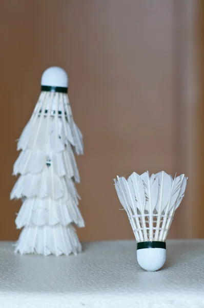 Badminton raketle