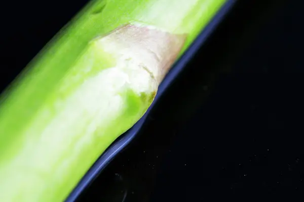 Szparagi w różnych sytuacjach — Zdjęcie stockowe