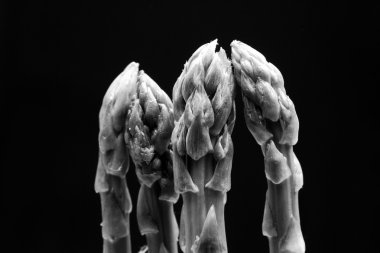 çeşitli gıda mutfak