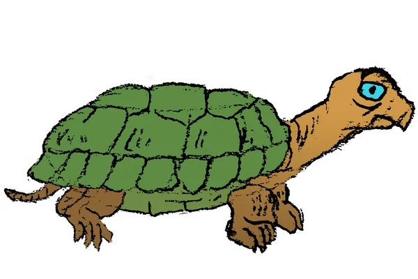 Colored Hand-drawn Sketch of Turtle — Stock Photo, Image