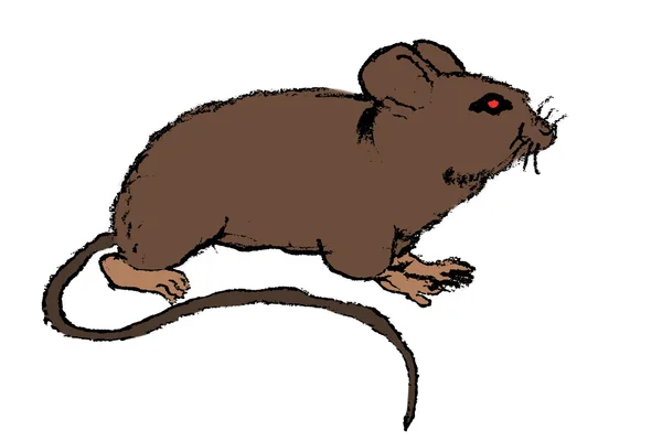 Ratten-Illustration Stockbild