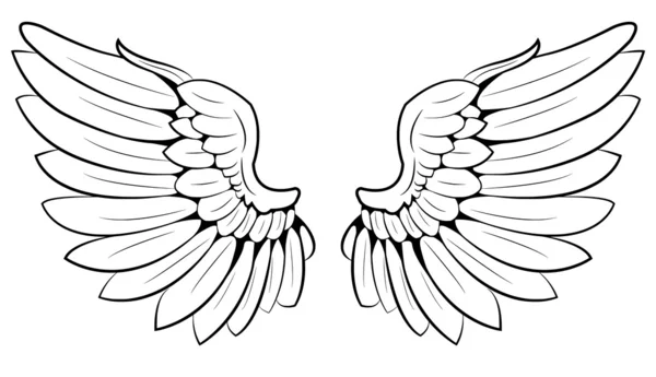 Пара крыльев — стоковый вектор