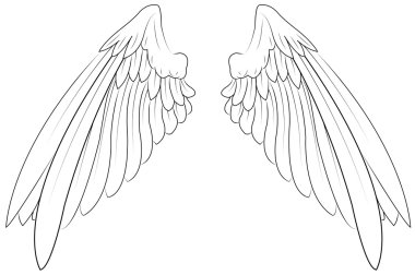 A pair of wings clipart