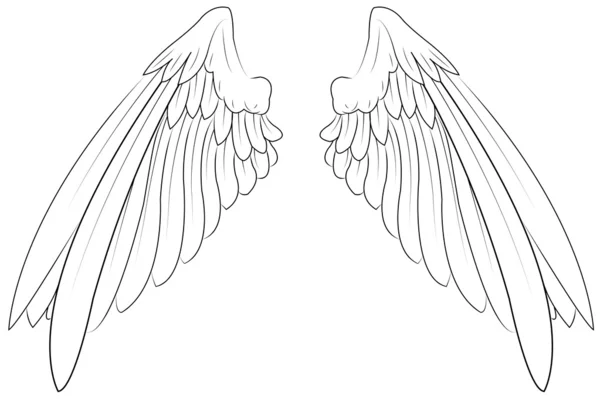 翼のペア — ストックベクタ