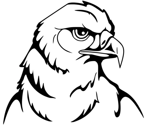 Head of an eagle — Stock Vector
