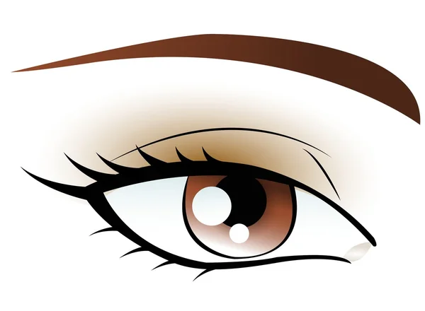 Brązowe oczy — Wektor stockowy