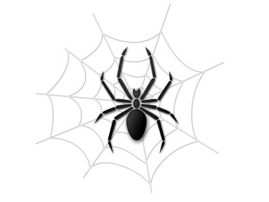 Spider and web clipart