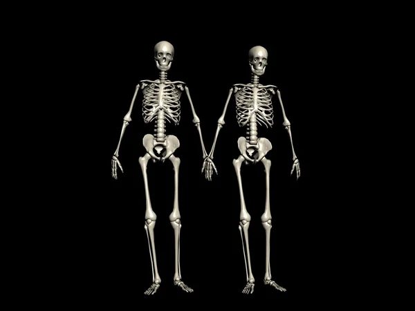 Together forever — Stock Image Together forever Stock Photo