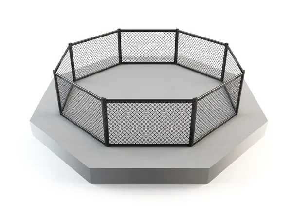 Cage fighting octagon — Stockfoto