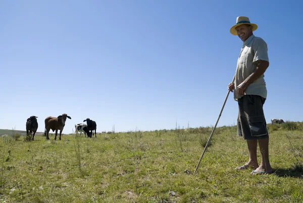 Rolnik prowadzący gospodarstwo mleczarskie — Zdjęcie stockowe