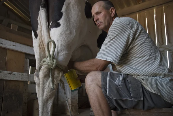 Молочный фермер — стоковое фото