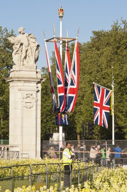 buckingham Sarayı'ndaki kirazkuşları