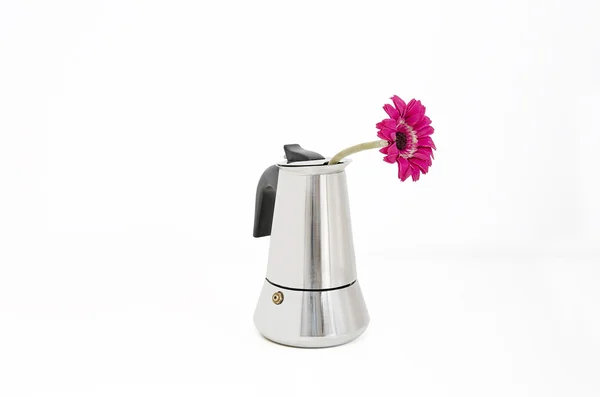 Coffee maker with flower inside — Stock Photo, Image