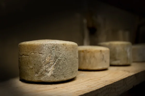 Овечий сыр — стоковое фото