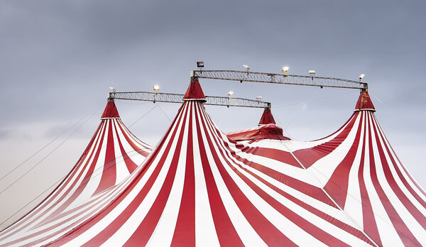 The wonderful spectacle of the circus