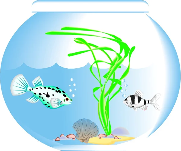 stock vector Aquarium