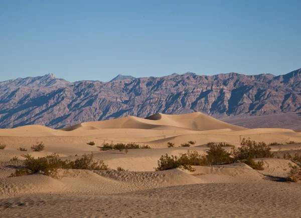 Dune di sabbia della Valle della Morte Fotografia Stock