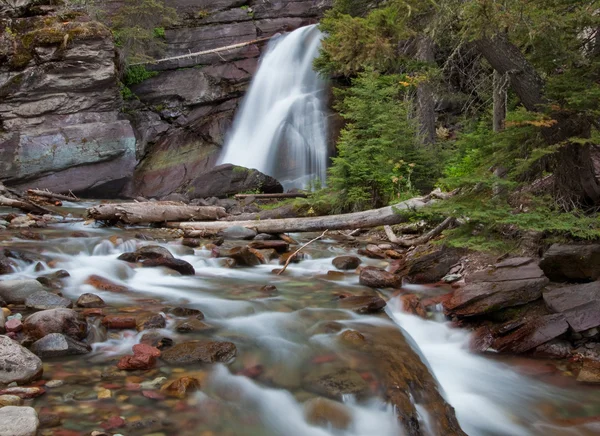 stock image Stream in Glacier National Park