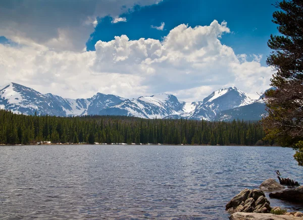 Lago Bierstadt en el Parque Nacional de las Montañas Rocosas Fotos de stock libres de derechos