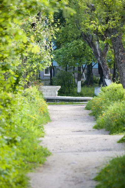 stock image Footpath in park