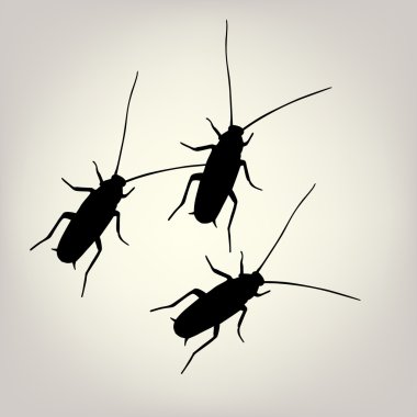 Cockroach clipart