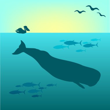 Whale vector clipart