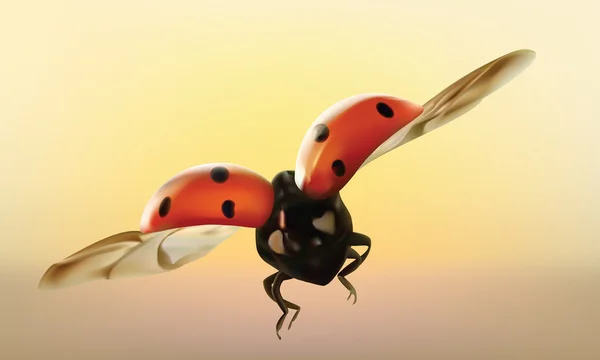 瓢虫 — 图库矢量图片