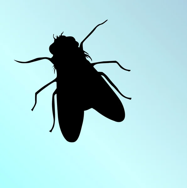 Vector de mosca — Archivo Imágenes Vectoriales