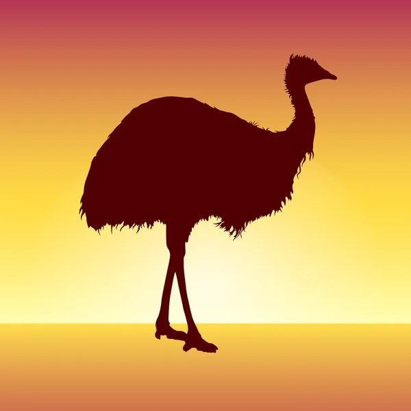 Struisvogel — Stockvector