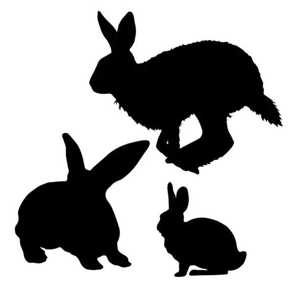 ウサギのベクトル — ストックベクタ
