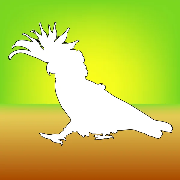 Vettore pappagallo — Vettoriale Stock