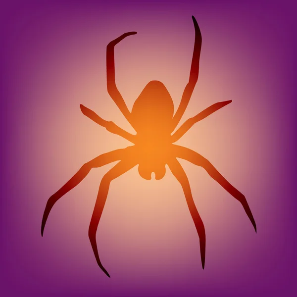 Pavouk vektor — Stockový vektor