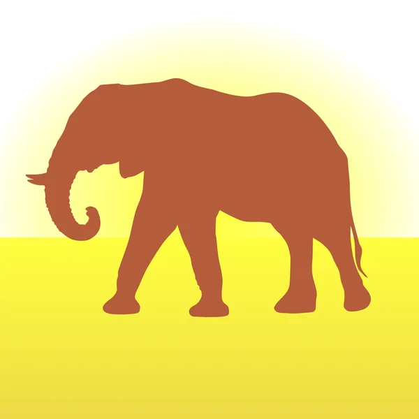 Elephant — Stockvektor