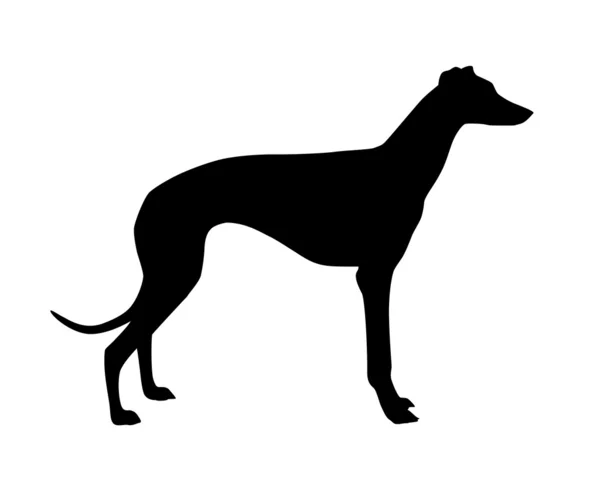 Vector de perro — Vector de stock