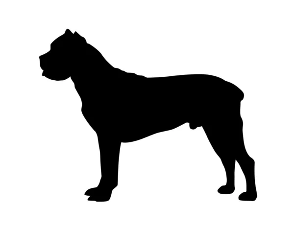 Schäferhund-Vektor — Stockvektor