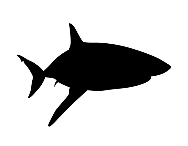 Vecteur de requins — Image vectorielle