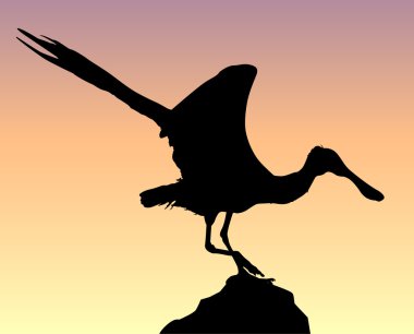 Silhouette albatross clipart