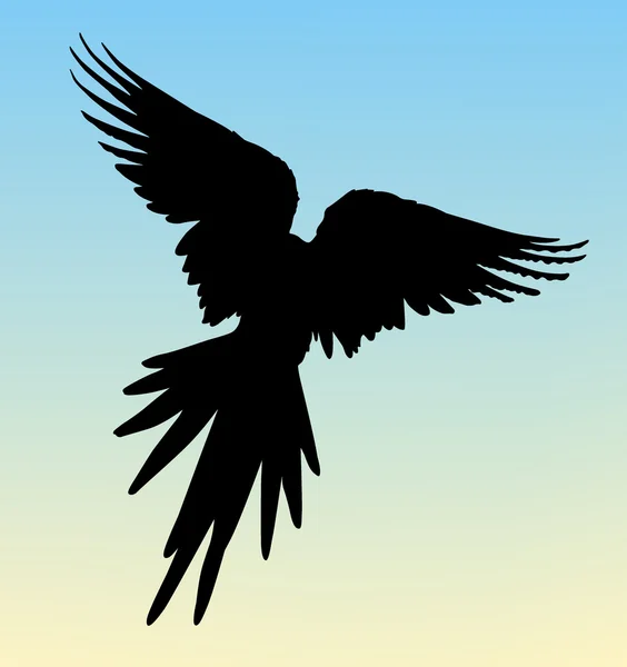 Perroquet silhouette — Image vectorielle