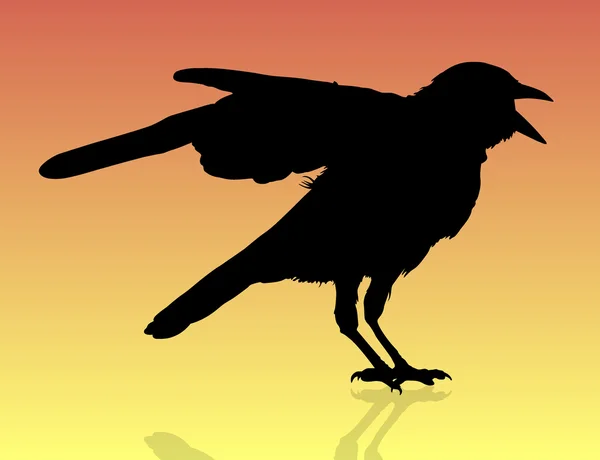 Ilhouette kråkor — Stock vektor