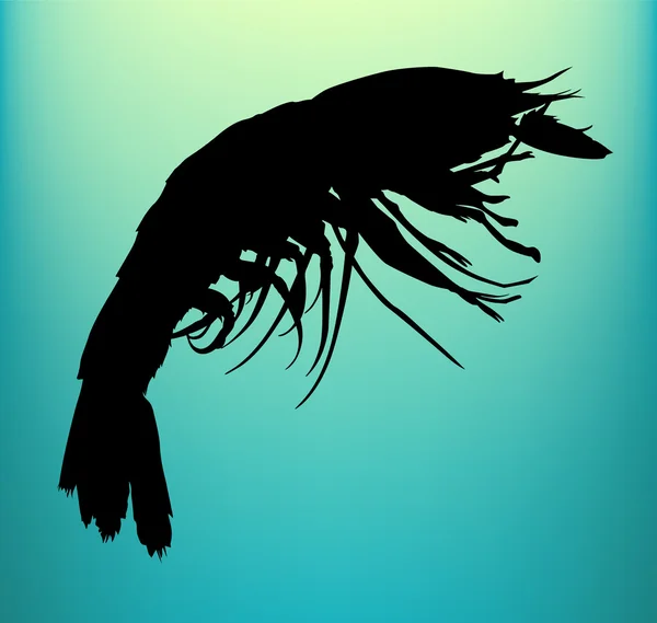 Vecteur de crevettes — Image vectorielle