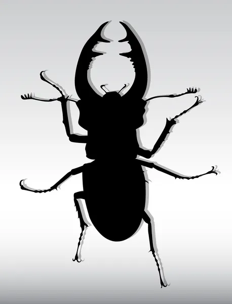 Käferhirsche — Stockvektor