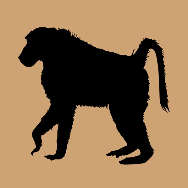 Vetor babuíno — Vetor de Stock