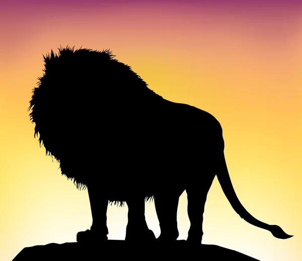 Silueta de león africano — Vector de stock